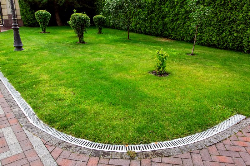 Wet Yard Drainage in Tuscaloosa, AL