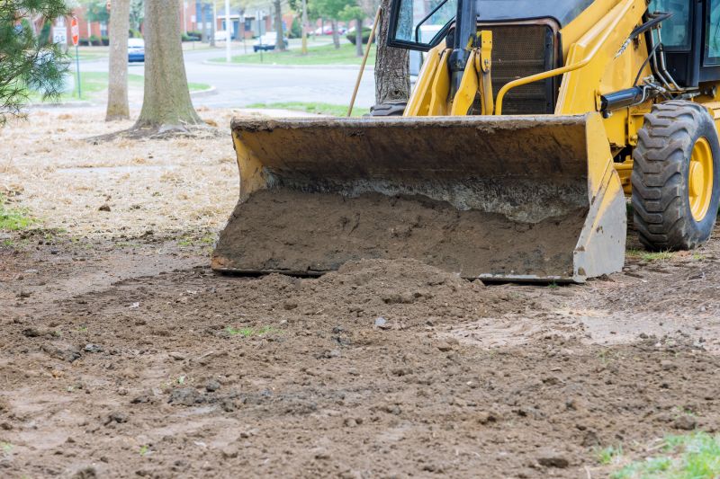 Initial Yard Assessment